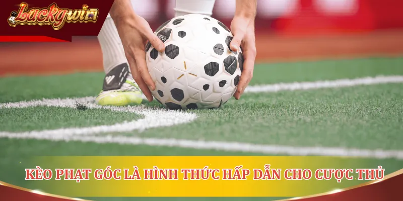 Kèo phạt góc là hình thức hấp dẫn dành cho bet thủ